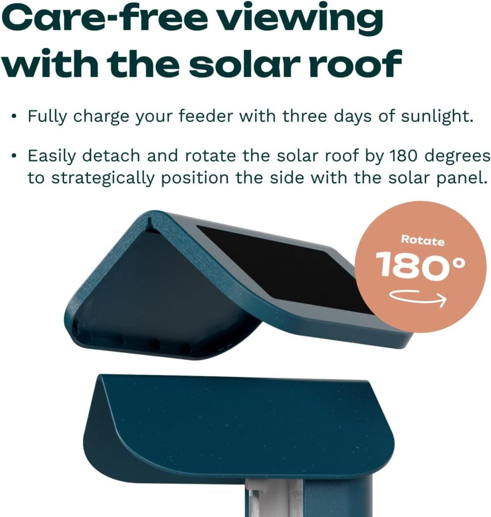 bird buddy original smart bird feeder with camera solar powered high resolution ai camera for beautiful close up shots a 1