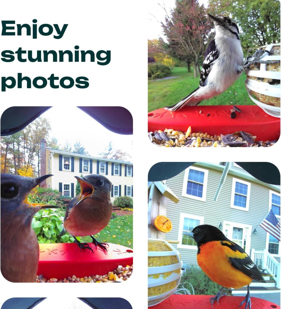 BIRD BUDDY® Original Smart Bird Feeder with Camera Solar Powered. High Resolution AI Camera for Beautiful Close-up Shots and a Unique Bird Watching Experience